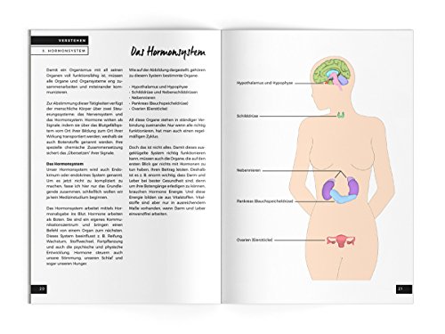 ByeBye Pille: in 4 Schritten zurück zur Balance