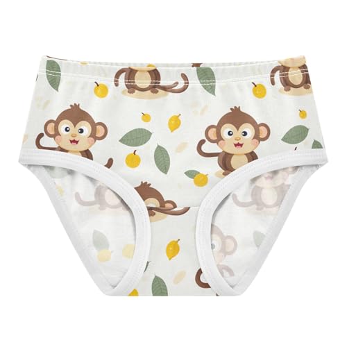 Cute Monkey Toddler Girls's Underwear 2T 202b3091