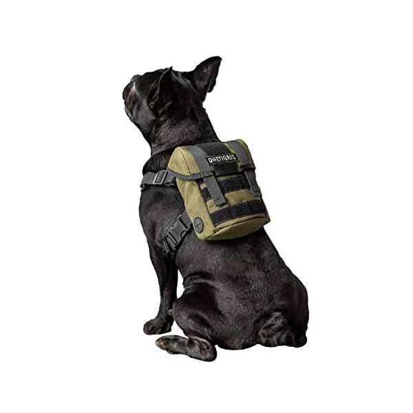OneTigris-Dog-Pack-Backpack-Durable-Small-Medium-Dog-Pack-with-Litter-Bag-Exit-for-Camping-Hiking-Daily-Walking-Ranger-Green-X-Small Adventure Companion - OneTigris Dog Pack: Durable Dog Pack for Camping, Hiking & Walking