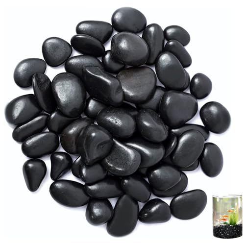 VIQIHEOE Kieselsteine, 1-3 cm Schwarz Polierte Flusssteine, 1kg Polierte Schwarze Kieselsteine, Dekorative Flusssteine, Zierkies für Vasen, für...