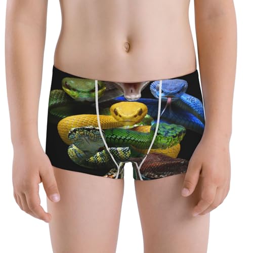 Boys' Cotton Boxer Brief Soft Underwear-Colorful Viper Snake