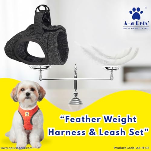 Image of A+a Pets' Feather Weight Cat and Dog Harness & Leash Set - Escape Proof, Adjustable, No Pull, Soft Padded Vest for Persian Cats, Kittens, Small Dogs (Grey, M)
