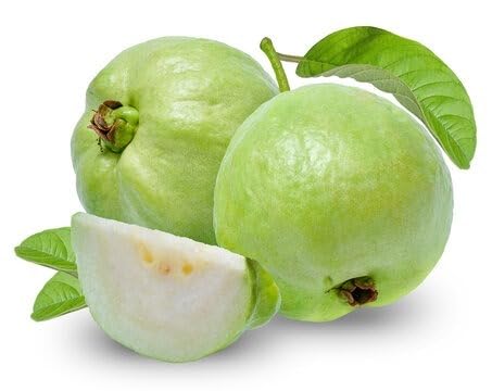 Natura GreenHouse Original Thai -7 guava plant hybrid Air Layering all seasons Thai - 7 Guava Plant (Plant height 1-1.5 FT) Sweet Guava plant