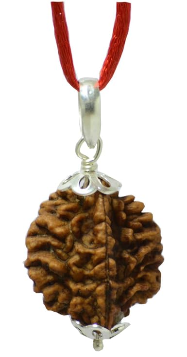 2 Mukhi Rudraksha Oval Pendant - Lord Shiva Parvati - 2 Face Rudr...