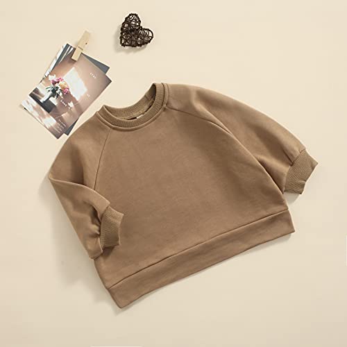 Toddler Boy Girl Fall Clothes Solid Long Sleeve Crew Neck Pullover Top Unisex Kid Simple Style Sweatershirt Outfit2