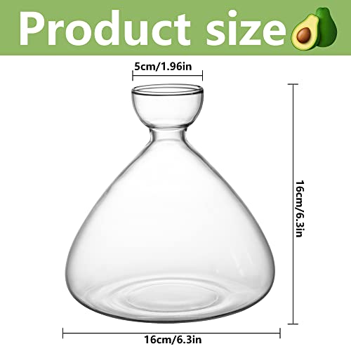 Avocado Seed Starter Vase for Gardening Lover