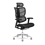 X-Chair XG-Wing Management Task Chair, Black K-Sport Mesh Fabric with Headrest - Ergonomic Office Seat/Split-Back Design/Dynamic Variable Lumbar Support/Floating Recline/Perfect for Long Work Days