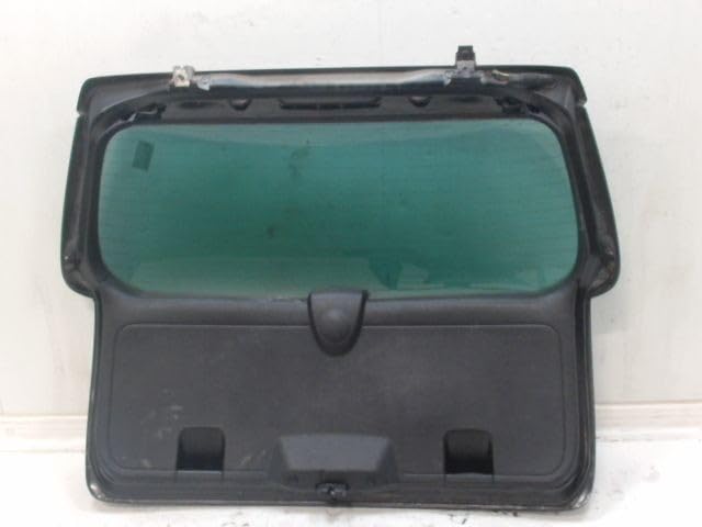 Volet de coffre hayon PEUGEOT 307 Sw Phase 2 pièce occasion 8701q4 - 2