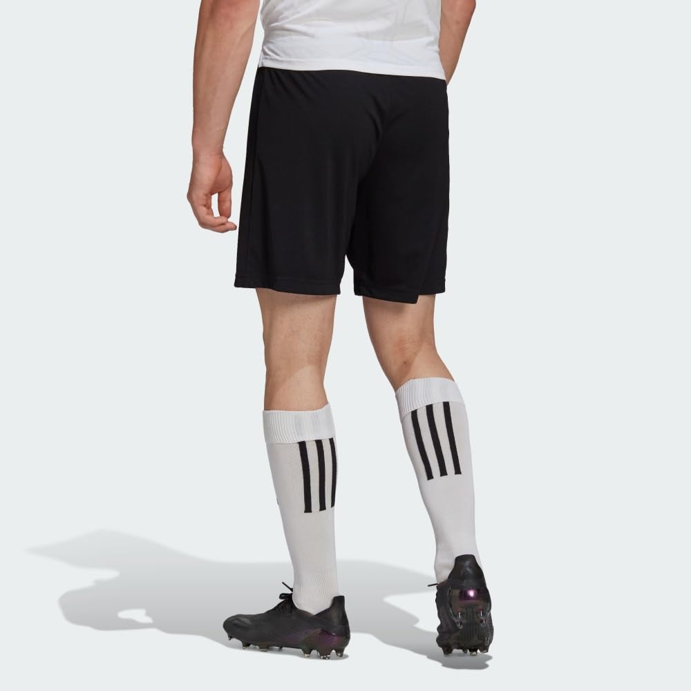 Adidas - Entrada 22 Pantaloncini, Pantaloncini Uomo