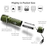 LE LED Torch Battery Powered, LE1000 Bright Hand Flashlight, Adjustable Focus, Water Resistant, Lightweight, for Power Cut, Camping, Dog Walking, Easy to Use Small Torch, Gift for Kids Men Dad Him - Image 6