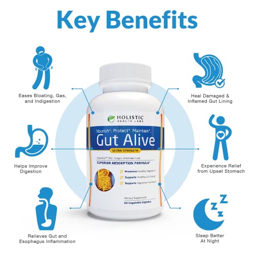 Image of Holistic Health Labs Gut Alive - All Natural Support to Fight IBS, Heartburn, Acid Indigestion, Acid Reflux, Bloating & Gas. Unique Formulation (60 Count (Pack of 2))