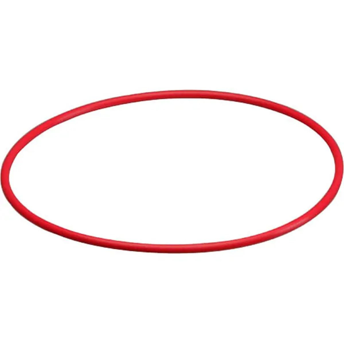 Joint Torique D'étanchéité Olympus POL-053 Pour Caisson PT-053 – Neuf