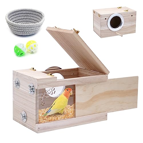 BREUAILY Nichoir transparent perruche avec perchoir en bois et fenêtre de visualisation