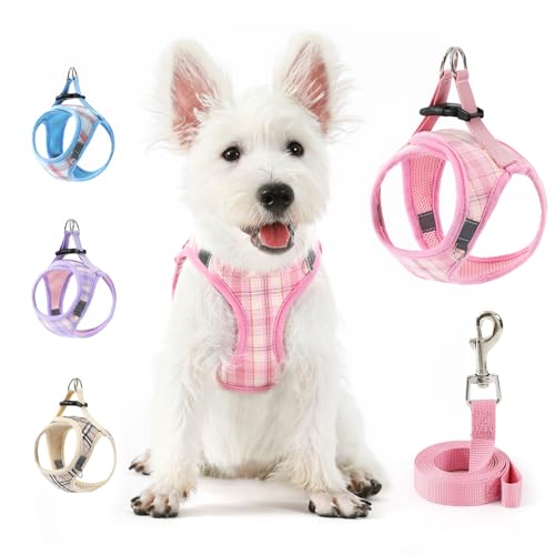 voopet �����^���p�n�[�l�X�ƃ��[�V�� �y�� �L ���K �p�b�h���� �\�t�g���b�V���x�X�g �X�e�b�v �C�� �h�b�O �n�[�l�X ��������Ȃ� �`���[�N�Ȃ� ���� ���^ �i�q�� ���̎q & �j�̎q �q�� �L�e�B �E�H�[�L���O�n�[�l�X�A�s���N XS