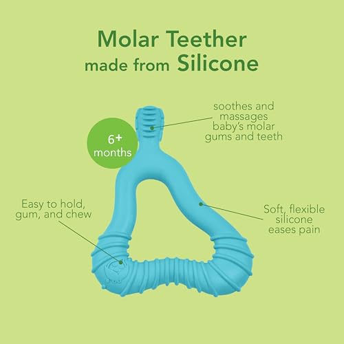 Image of Green Sprouts Silicone Front & Side Teether, 6mo+, Platinum-Cured Silicone, Sterilizer Safe, Tested for Hormones - Light Sage