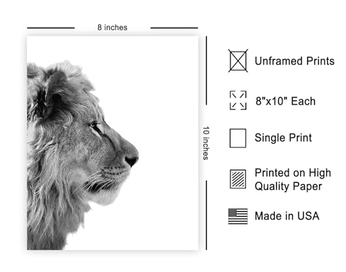 Poster Master PM002949-08X10 Vintage Photograph Poster - Retro Animal Print - Lion From Side thumb #1