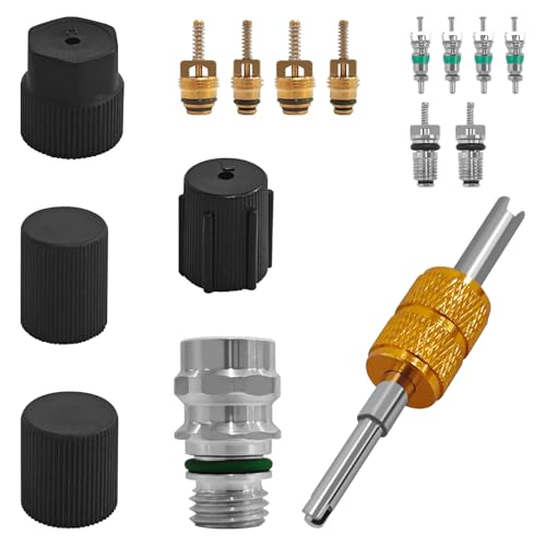 GGAA 16PCS AC Valve Core Kit for Cars, Trucks, SUVs, HVAC