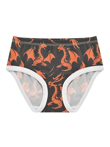 ZZKKO Silhouette Fire Dragon Girls Underwear Toddler Panties for Girls Comfort Brief Size 2-8T