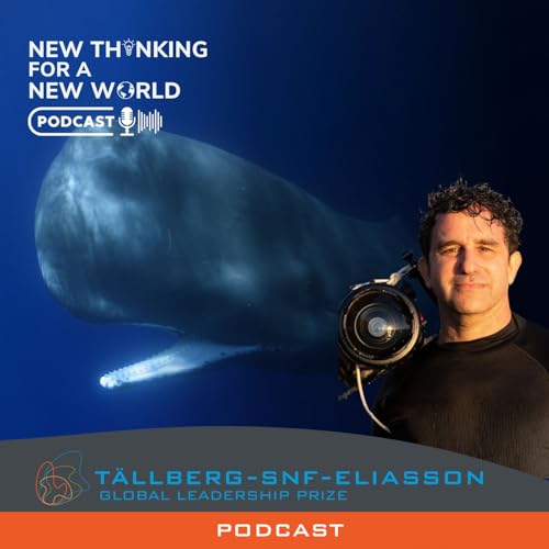 What Has the Whale to Say?