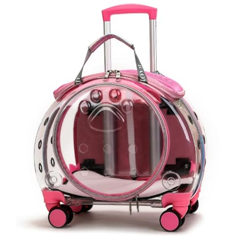 otoyeybgpL[P[X ybgg[P[XAFJvZAړILobNpbNAeʁA|[^u^sobO KȈړ (D)