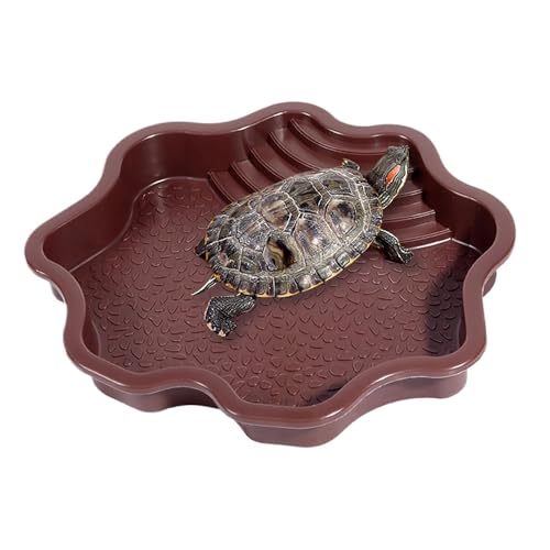 Flushbay ঒ޓv[ ঒މaM  X[vt I[ig AXl[NAJAЂhSAgJQCp (uE-bh)