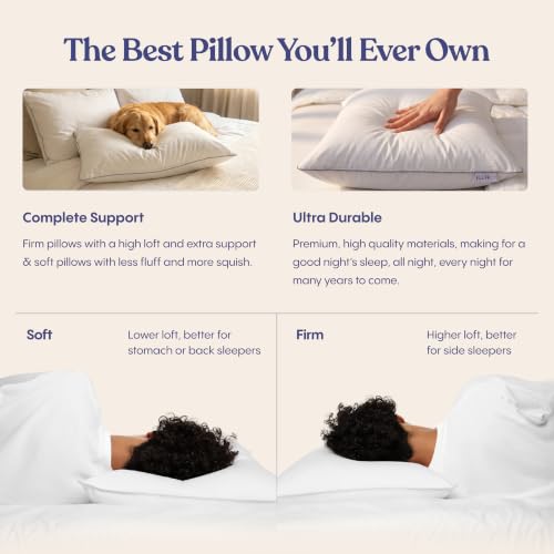 Image of FluffCo Zen Fluff Down Bed Pillows - Soft, Standard /Queen Size (1 Pack) | Comfortable Pillows For Side, Back & Stomach Sleepers - 600 Fill Power White Duck Down - 300 TC Cotton Shell - 20x26 In