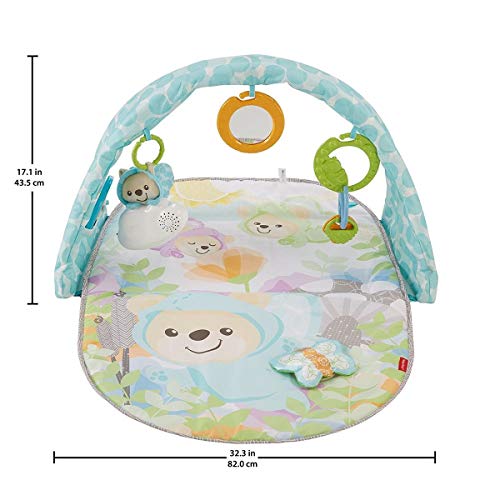 Fisher-Price Palestrina Musicale degli Orsetti con Arco Colorato, 5 Giocattoli Agganciabili, Musica e Suoni, per Neonati da 0+ Mesi, DYW46