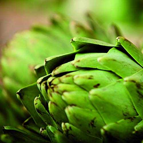 New Nordic Active Liver | Daily Liver Supplement | Milk Thistle, Artichoke & Turmeric | For Men And Women | 30 Count (Pack Of 1) #TOP7