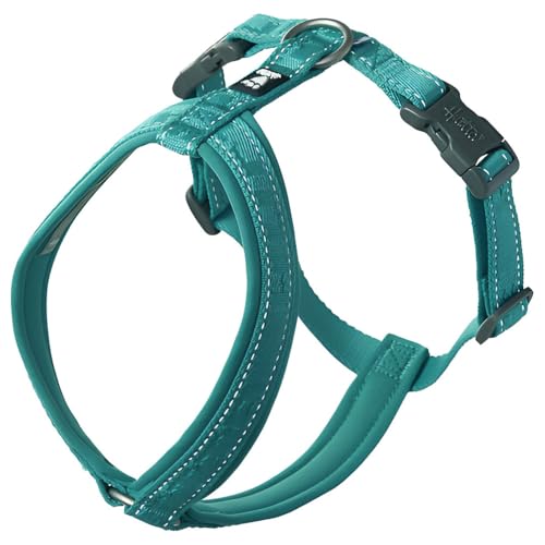 PETTORINA CASUAL Y ECO PEACOCK 70-80