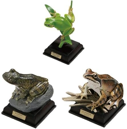 【旧版】ネイチャーテクニカラー 日本のカエル 「ニホンアマガエル」 NTC 日本のカエル 特装版 – ネイチャーテクニカラー公式