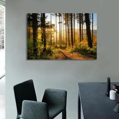 Toile murale paysage forestier xukgmsg tableau nature 75x50cm