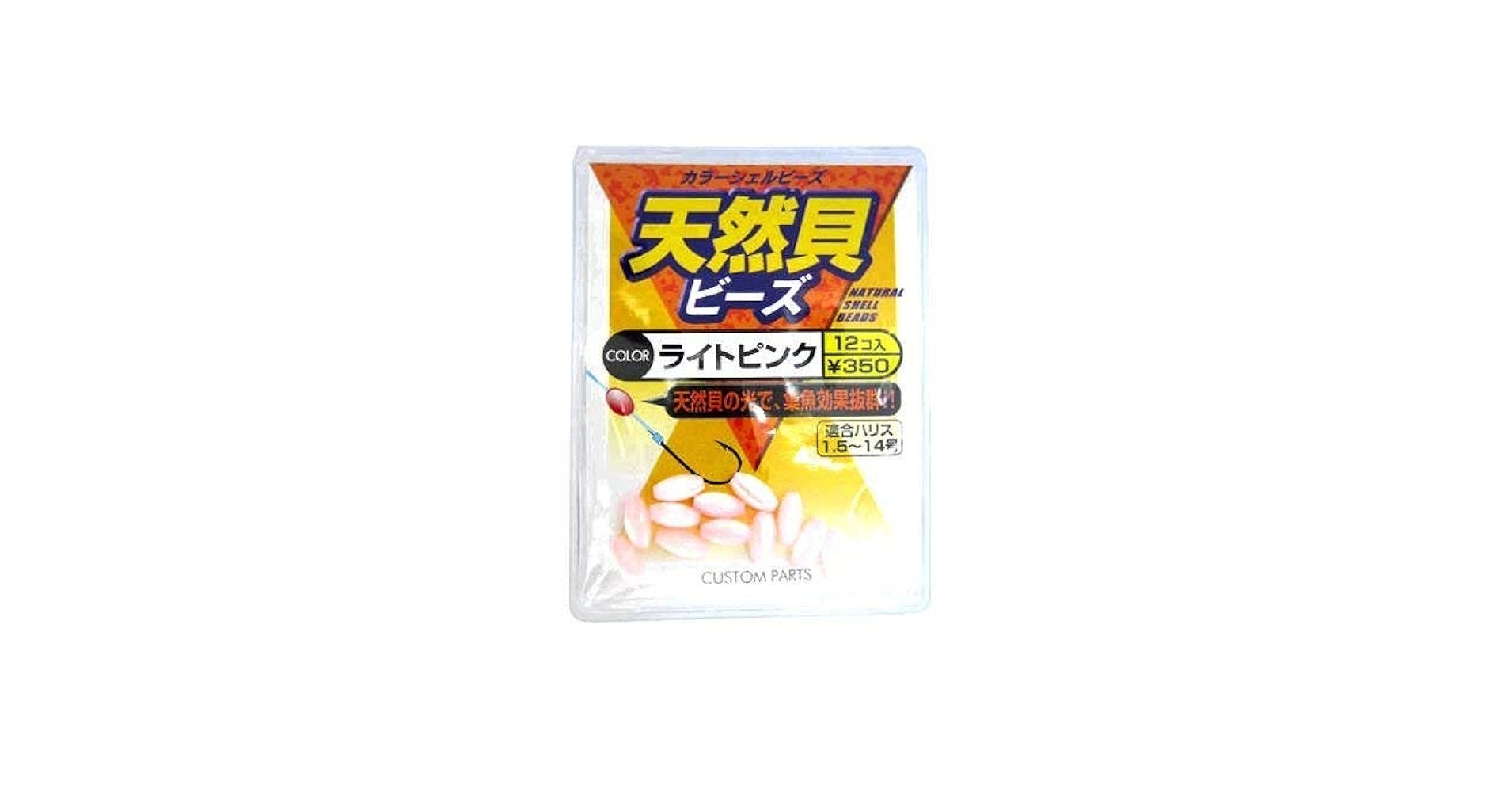螺貝 Microshells: Gastrochaena cymbium チビツクエガイ