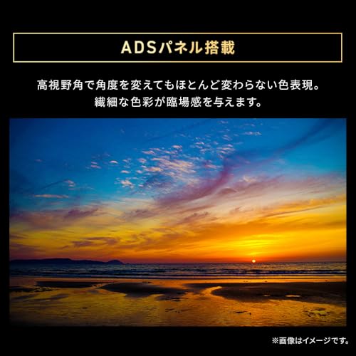 アイリスオーヤマ 液晶ディスプレイ DT-JF235S-B