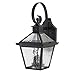 Acclaim 7662BK Bay Street Collection 2-Light Wall Mount Outdoor Light Fixture, Matte Black