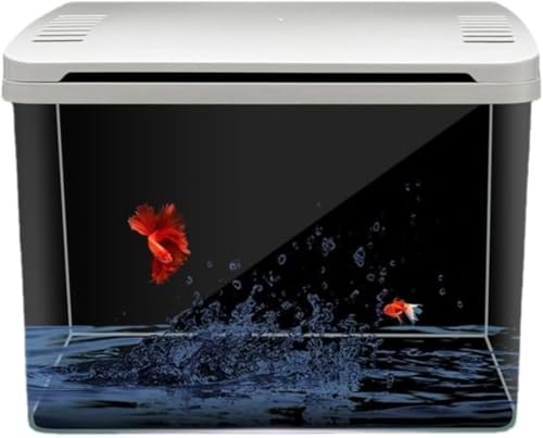 Scifimp ������ ���@�\�v���X�`�b�N���^���� �����E���_�J�E�J���p ��㓧���� �ƒ�p ���r���O�K�p �Ɨp���p���Ή� �����E�X�ܒ�Ŋ��p ������������x���ɍœK