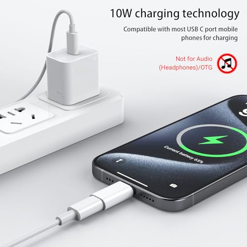 Adaptador de micrófono tipo C a Lightning convertidor de audio para micro lavalier inalámbrico 5