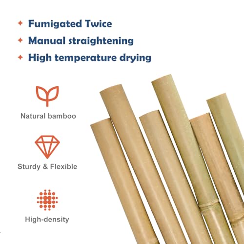 Image of COLOtime 8FT Bamboo Stakes Plant Stakes 1 Inch Thick Diameter Garden Stakes Heavy Duty for Plant Support Outdoor Climbing Plants Support Gardening Stakes 10 Pack
