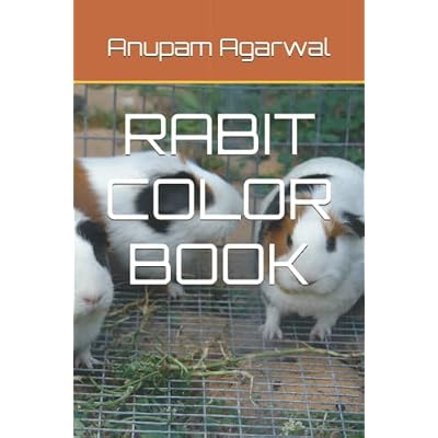 RABIT COLOR BOOK