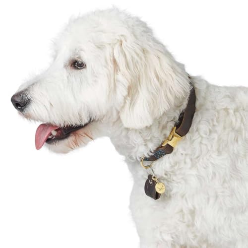 HUNTER Hundehalsung Sansibar Farbe: Dunkelbraun, edles Rindsleder, Maritime Details, Blaue Ziernähte, messingfarbene Beschläge, stufenlos verstellbar, stylisch & robust, Made in Germany, Größe: M