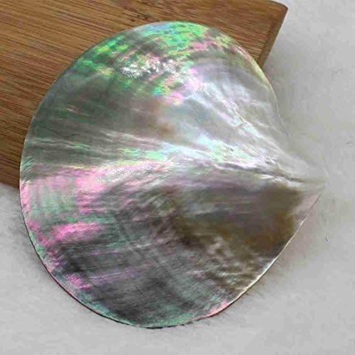 HUANGA 1Pc Natural Seashells Black Butterfly Shell Jewelry DIY Shell Nautical Beach Decor Scallop Specimen Craft Gift Home Fish Tank Marine Decoration Ornament