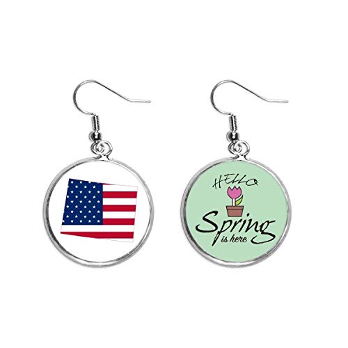 Pendientes de Wyoming bandera americana joyas colgantes estrellas y rayas