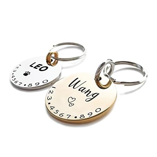 Cats Dogs ID Tags Personalized Lovely Symbols Pets Collar Name Accessories Simple Custom Engraved Products for Medium Four Legged Child Necklace Chain Anti-Lost Shiny Stainless Steel 316L Charm