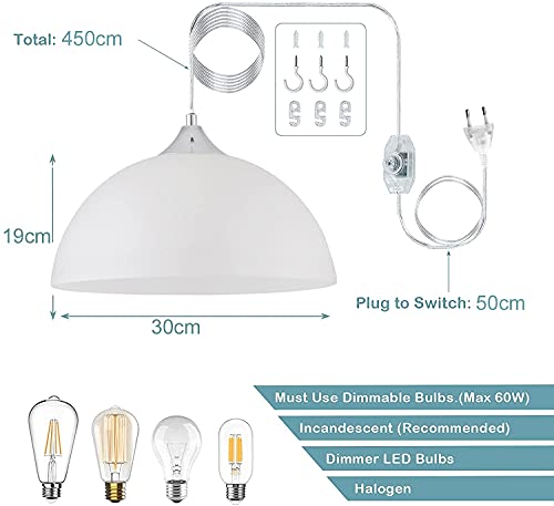 Lumière suspendue avec interrupteur et long câble de 4,5 mètres ajustable
