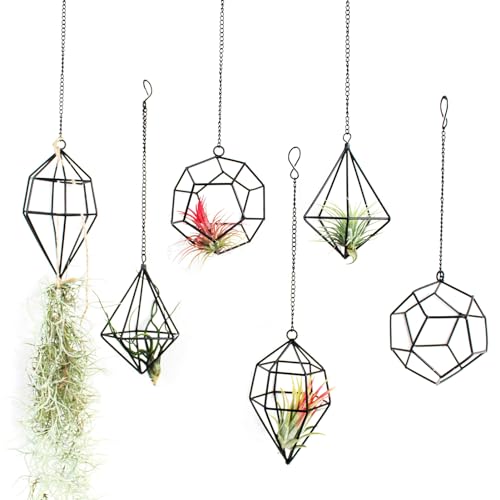 libproqia Iron Air Plant Holder, 6PCS Geometric Tillandsia Stand - Wall Mounted Hanging Planter for Home Office Decor, Black Metal Himmeli Craft for Air Ferns, Small Airplants Display