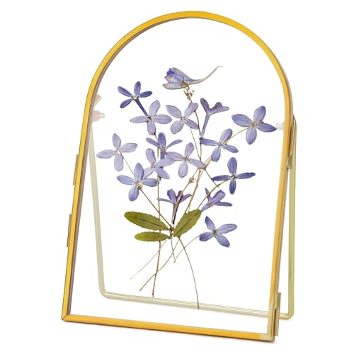 REDHUGO Double Glass Frame for Pressed Flowers Handmade Metal Floating Picture Frame for Pressed Flower Tabletop Display Brass ArcShaped Gold 4x6 inches (FRAME ONLY)