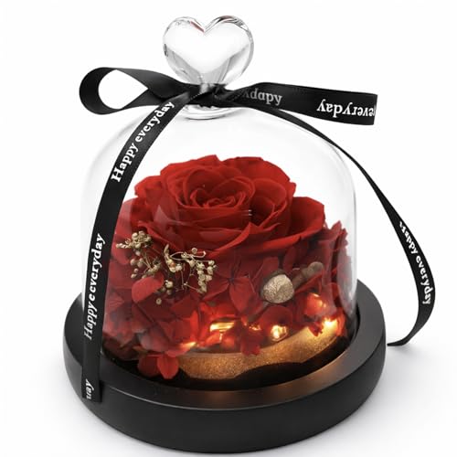 Gdecora Rosa Eterna Natural Preservada con Luces LED y Base de