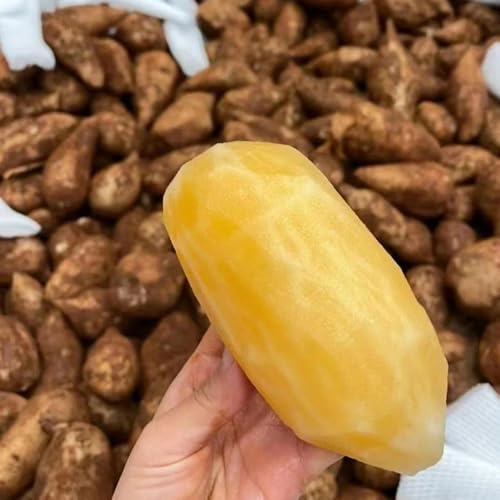 semillas orgánicas de yacón interior yacón raras Decoración jardín perennes resistentes orgánicas, fresca para lugares soleados 70pcs