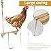 Imagen de Columpio para gallinas, juguete para gallinas