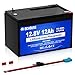 Produktbild DCHOUSE 12V 12AH LiFePO4 Lithium Batterie mit 15A BMS, 10 Jahre Lebensdauer, 10000+ Zyklen, für Marine, Ride on Toy, Trolling Motor Fish Finder, Kajak, Power Wheels