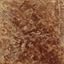 Buckskin